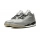 Nike Air Jordan 3 Mens Silver 631603-003 Shoes