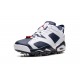 Nike Air Jordan 6 Mens Golf Olympic DV1376-101 Shoes