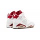 Nike Air Jordan 6 Mens Retro Alternate 384664-113 Shoes