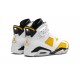 Nike Air Jordan 6 Mens Yellow Ochre CT8529-170 Shoes